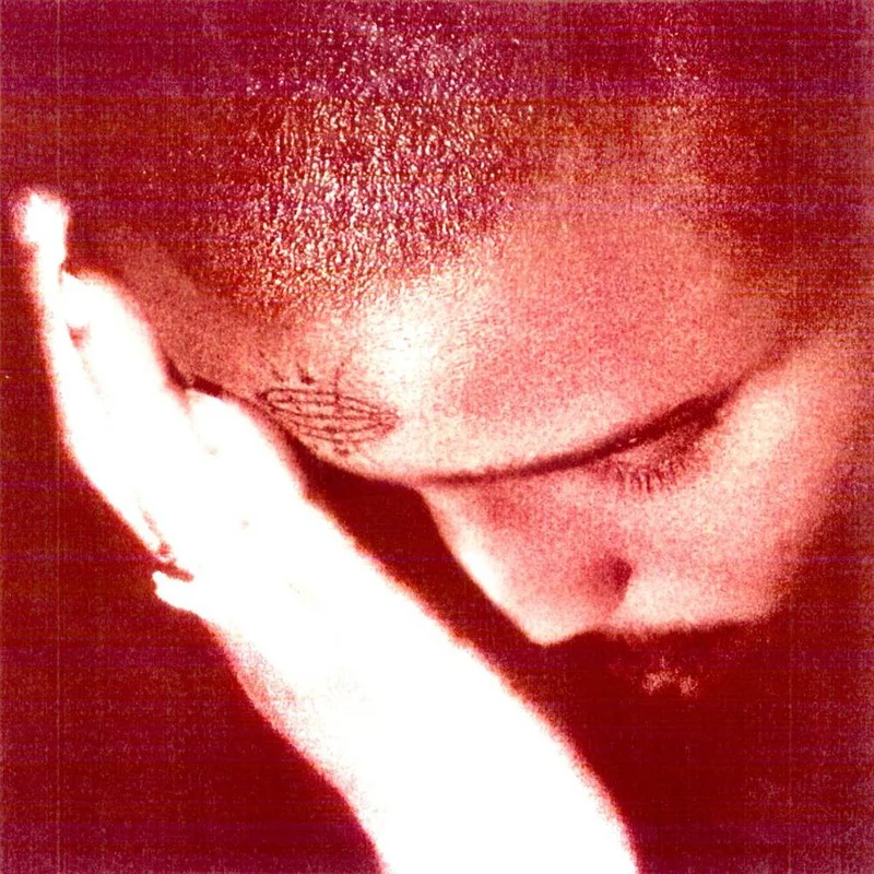diversevinyl3273808