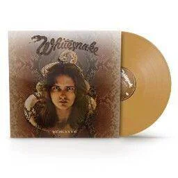 diversevinyl3274842