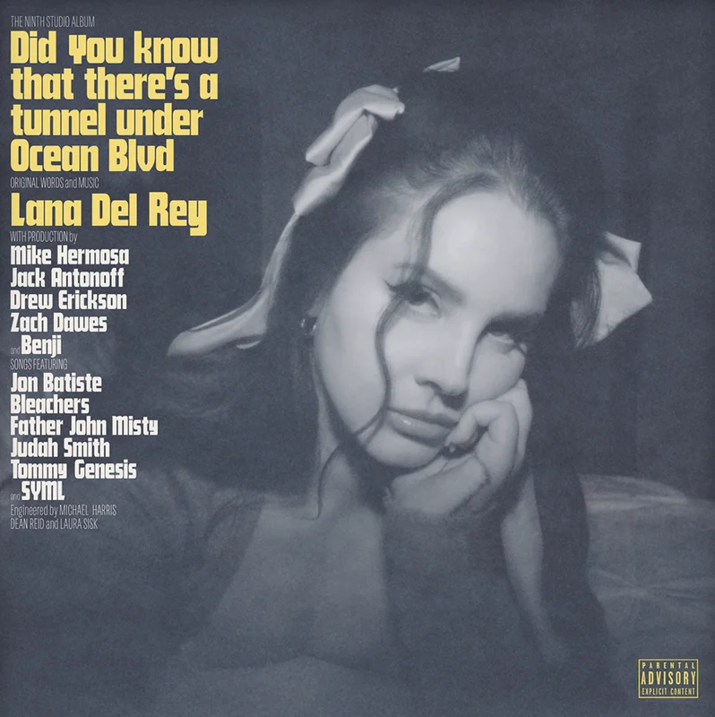 diversevinyl3303795