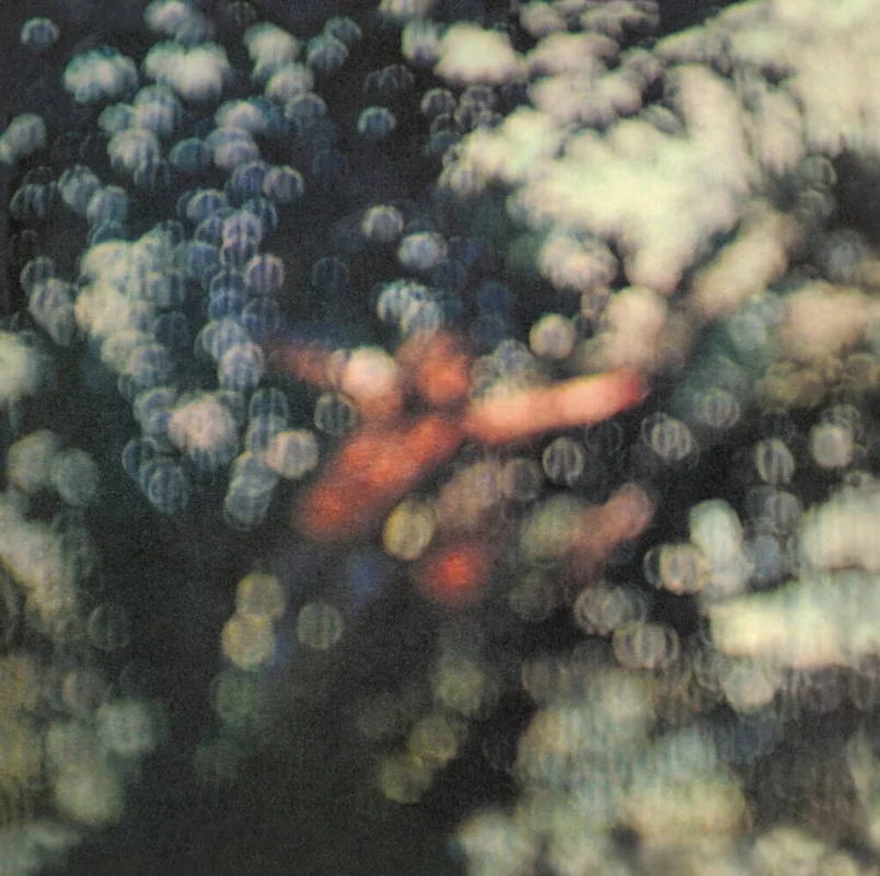 diversevinyl3303820