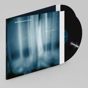 diversevinyl3312134