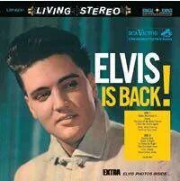 diversevinyl3317784