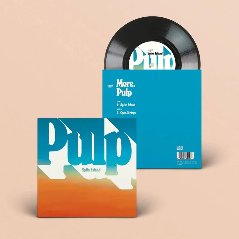 diversevinyl3343766