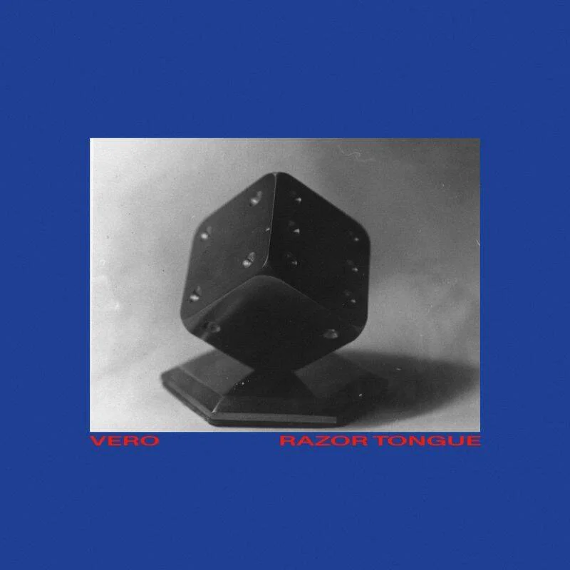 diversevinyl3359539