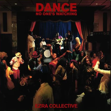 diversevinyl3367024