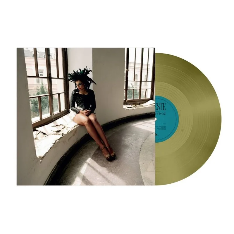 diversevinyl3398657
