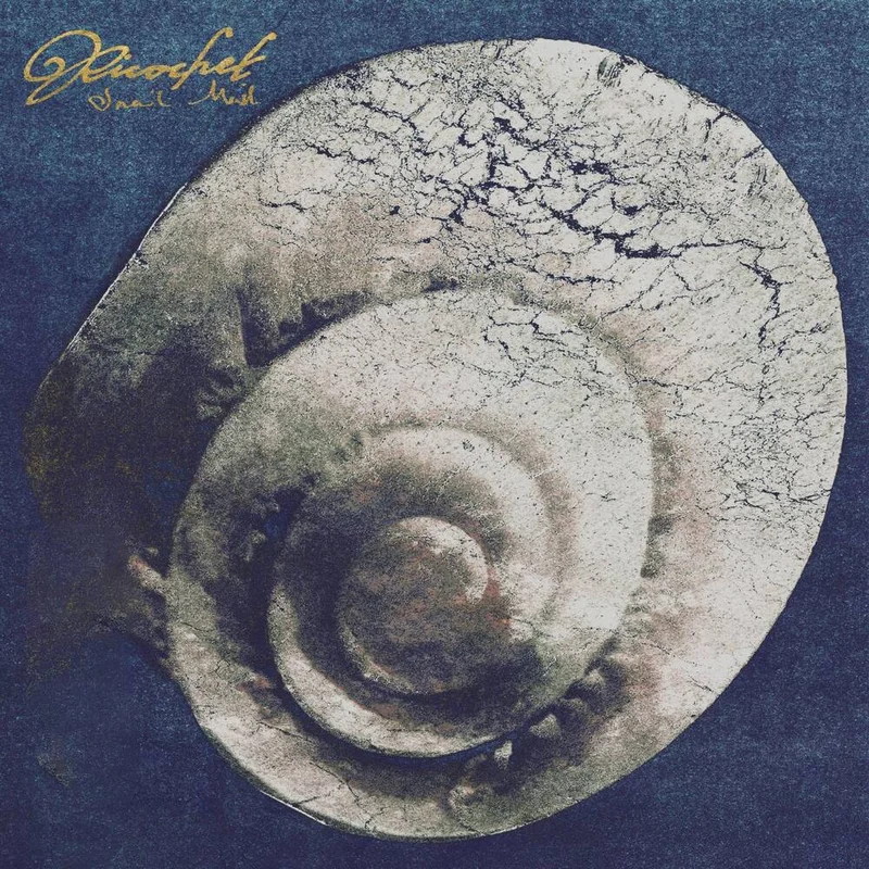 diversevinyl3401388