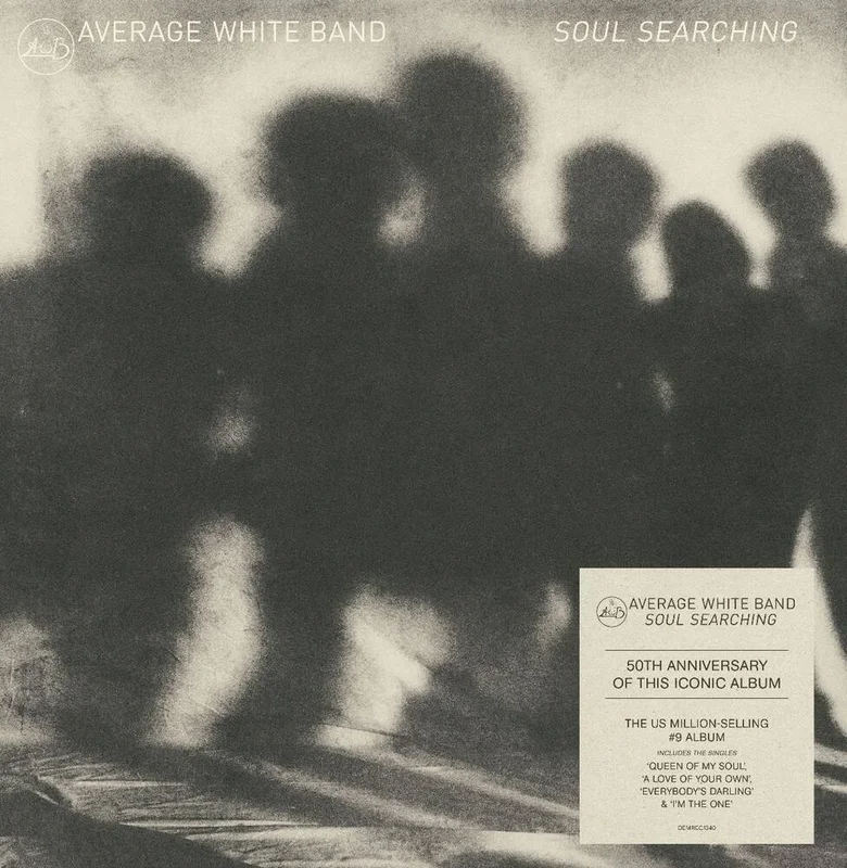 diversevinyl3410422
