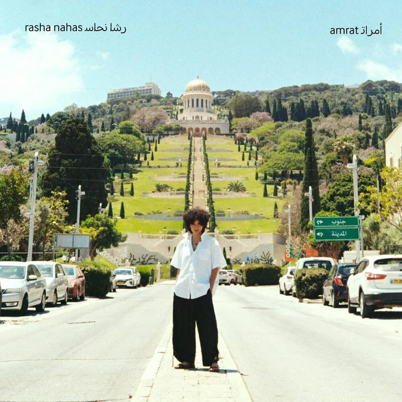 diversevinyl3416978
