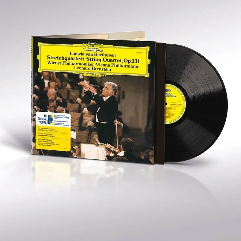 diversevinyl3437242