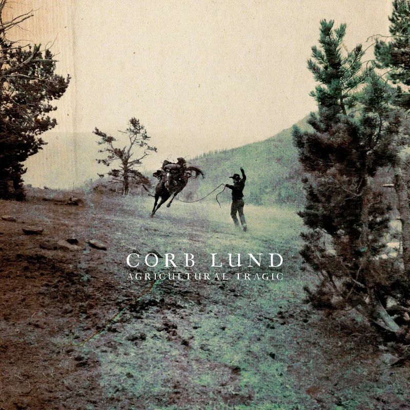 hundredrecords2604457