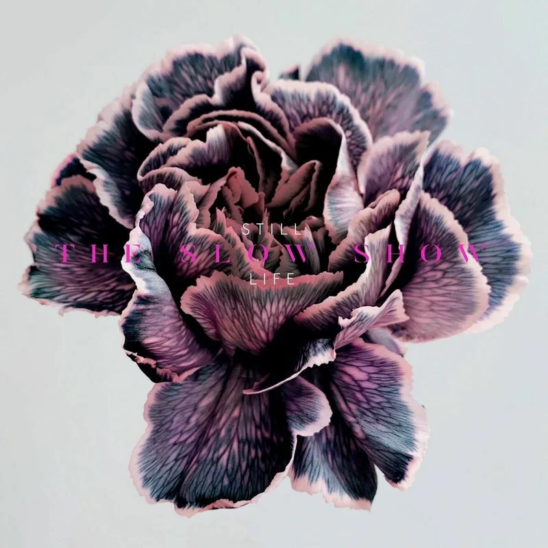 hundredrecords2608199