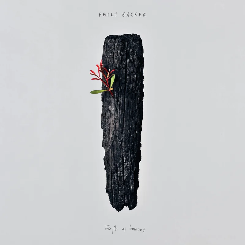 hundredrecords2629248