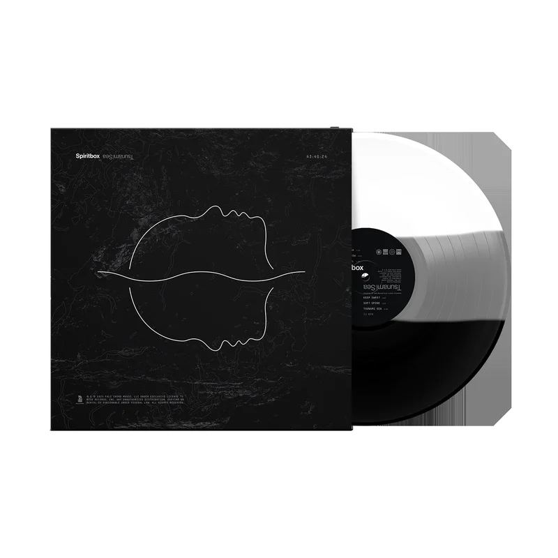hundredrecords2649671