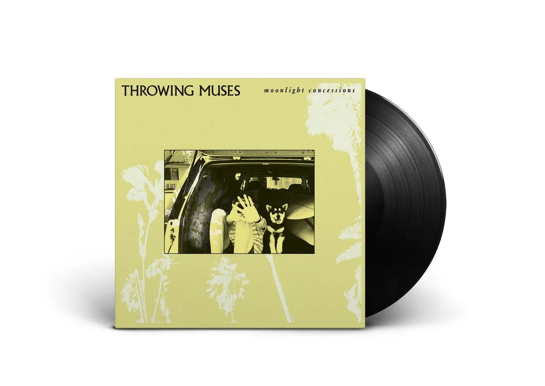 hundredrecords2653662
