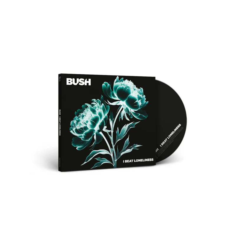 hundredrecords2674436