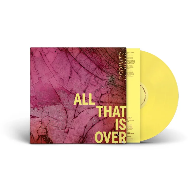 hundredrecords2679780