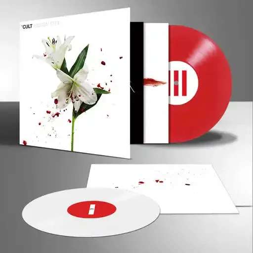 hundredrecords2686694