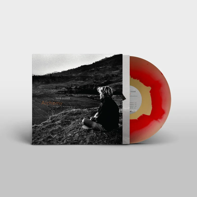 hundredrecords2687294