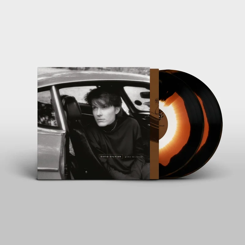 hundredrecords2687338