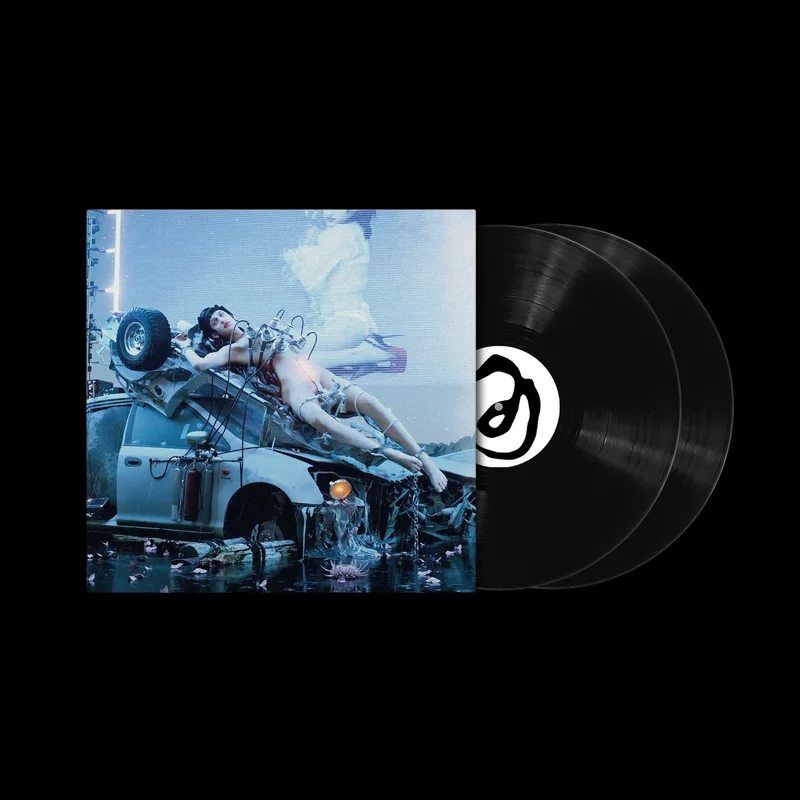 hundredrecords2689595