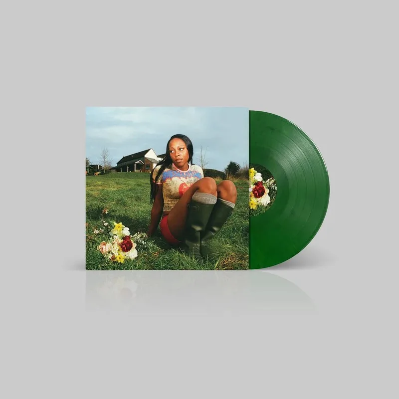 hundredrecords2697433