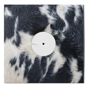 vinylunderground2569317