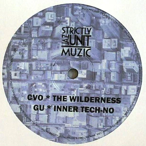vinylunderground2575021