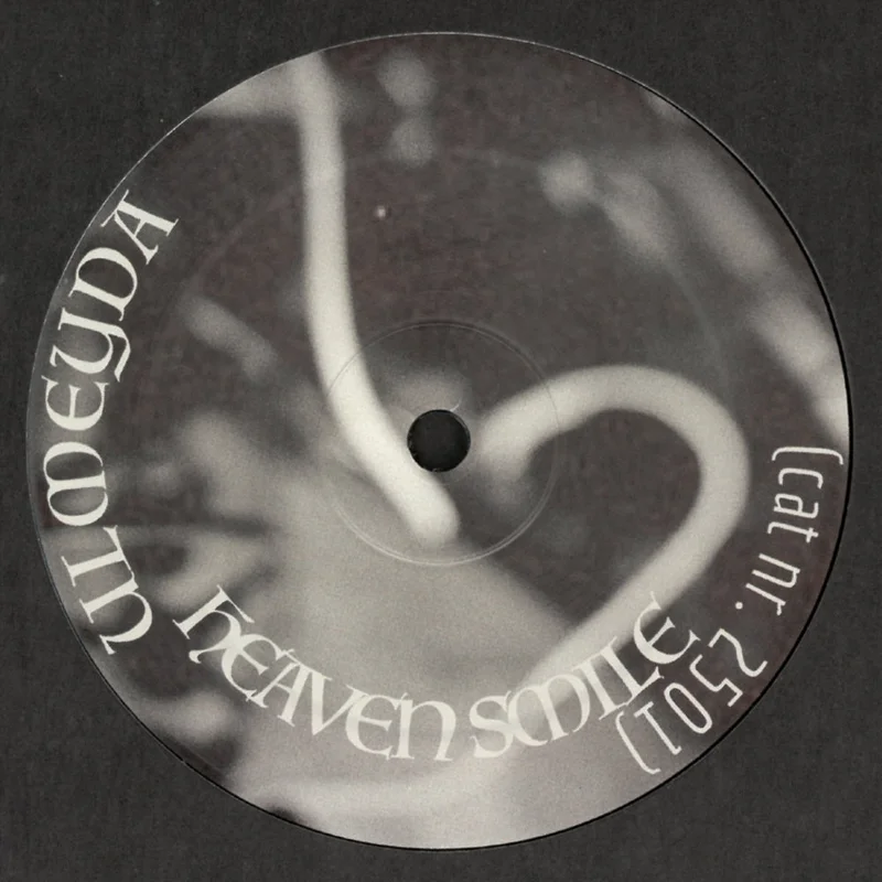 vinylunderground2601823
