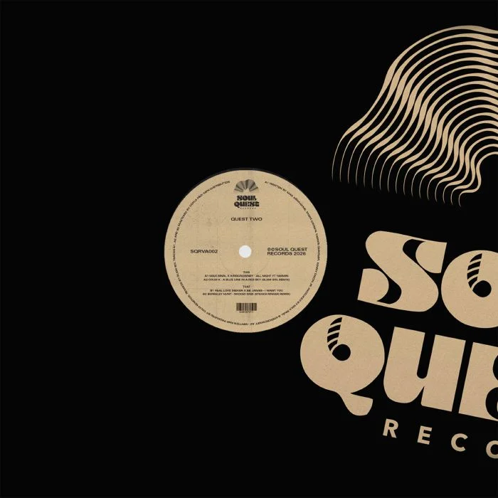 vinylunderground2619497