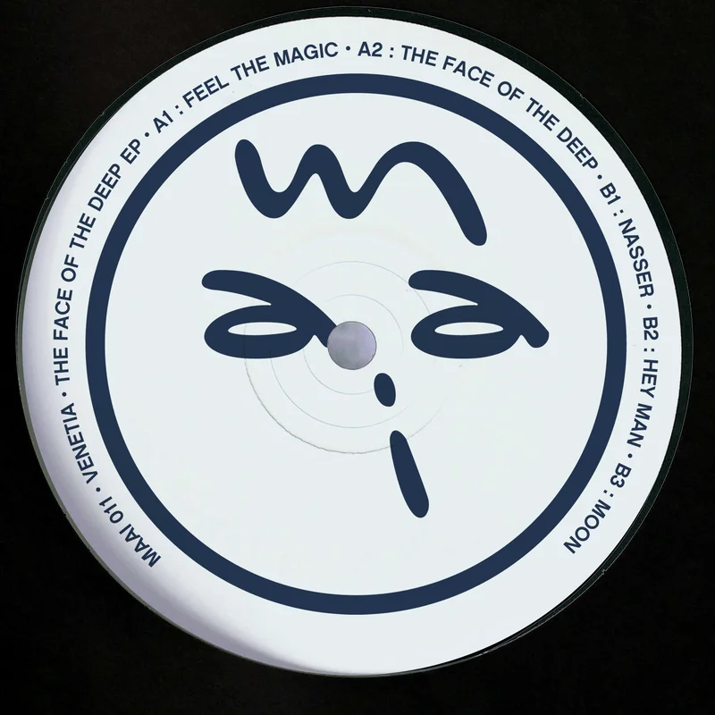 vinylunderground2627798